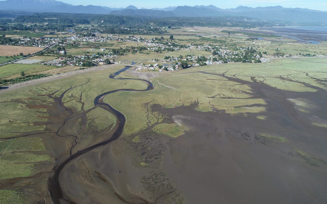 Humedal marino de Chamiza ingresa a la Red Hemisférica de Reservas para aves Playeras – RHRAP