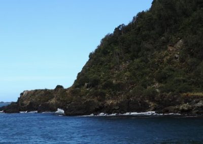 Registros de mamíferos presentes en el Área Marina Costera Protegida de Múltiples Usos Lafken Mapu Lahual, sur de Chile