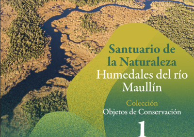 Objetos de Conservación Santuario de la Naturaleza Humedales del Río Maullín – Tomo 1