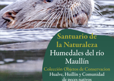 Objetos de Conservación Santuario de la Naturaleza Humedales del Río Maullín – Tomo 2