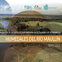maullin
